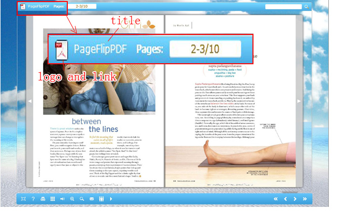 import a logo and related link in the float template of flipping book