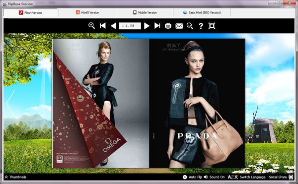 preview flash version of flipbook