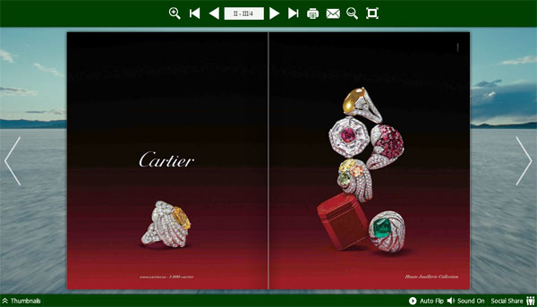 Flash Book Flipper for iPad screenshot Flash Book Flipper for iPad screenshot