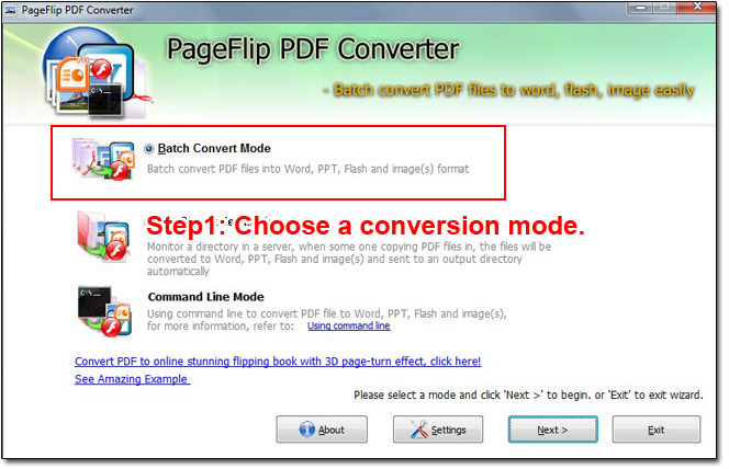 How to convert PDF to word, PPT, flash, images-step one