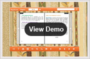 view_demo.jpg