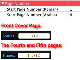 page_number_setting