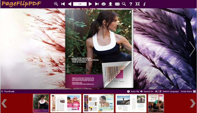 Vigor Theme for Flipbook Designing software