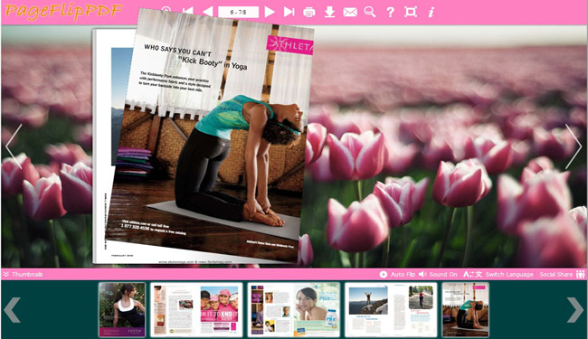 Vigor Theme for Flipbook Designing